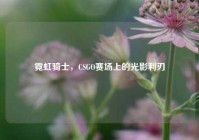 霓虹骑士，CSGO赛场上的光影利刃