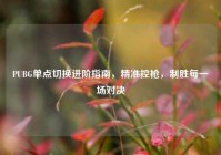 PUBG单点切换进阶指南，精准控枪，制胜每一场对决