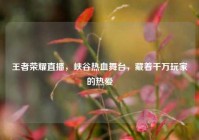 王者荣耀直播，峡谷热血舞台，藏着千万玩家的热爱