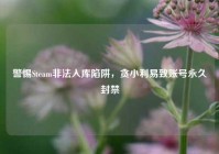 警惕Steam非法入库陷阱，贪小利易致账号永久封禁