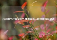 CSGO哪个CT最实用？战术解析+露胳膊探员盘点