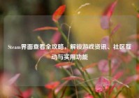 Steam界面查看全攻略，解锁游戏资讯、社区互动与实用功能