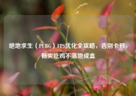 绝地求生（PUBG）FPS优化全攻略，告别卡顿，畅爽吃鸡不落地成盒