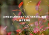 王者荣耀比赛在哪看？从线下赛场到线上直播观看全指南
