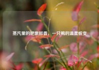 蒸汽里的肥嫩鲜香，一只鸭的温柔蜕变