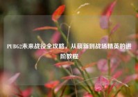 PUBG2未来战役全攻略，从萌新到战场精英的进阶教程