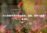 PUBG新赛季背包焕新登场，容量、战术与颜值三重进化