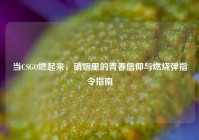 当CSGO燃起来，硝烟里的青春信仰与燃烧弹指令指南