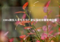 COD16现在入手亏不亏？老玩家给你算笔明白账