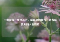 王者荣耀在线八小时，屏幕里的峡谷，藏着屏幕外的人生切片