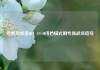 把默契焊进ID！CSGO搭档模式的专属战场暗号