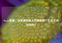 Steam客服，玩家维权路上的隐形墙？它会主动找你吗？