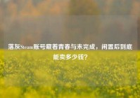 落灰Steam账号藏着青春与未完成，闲置后到底能卖多少钱？