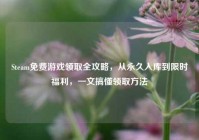 Steam免费游戏领取全攻略，从永久入库到限时福利，一文搞懂领取方法