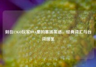 刻在CSGO玩家DNA里的赛场黑话，经典词汇与台词图鉴