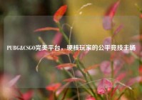 PUBG&CSGO完美平台，硬核玩家的公平竞技主场