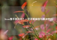 Steam搜不到光环？一文详解原因与解决妙招
