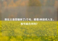 我在王者荣耀养了3个号，藏着3种游戏人生，账号能合并吗？