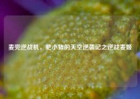 麦兜逆战机，肥小猪的天空逆袭记之逆战麦姬