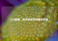 CSGO馨馨，枪声里绽放的赛场玫瑰