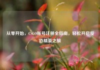 从零开始，CSGO账号注册全指南，轻松开启反恐精英之旅