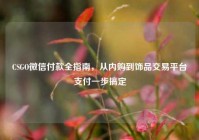 CSGO微信付款全指南，从内购到饰品交易平台支付一步搞定