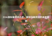 PUBG国际服直装心柔，解锁流畅竞技的温柔利器