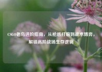 CSGO老鸟进阶指南，从枪感打磨到战术博弈，解锁高阶战场生存逻辑