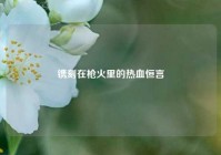 镌刻在枪火里的热血恒言