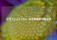 乞丐（qǐ gài）CSGO，无龙狙照样炸翻全场
