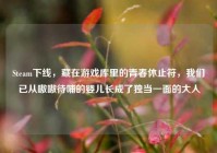 Steam下线，藏在游戏库里的青春休止符，我们已从嗷嗷待哺的婴儿长成了独当一面的大人