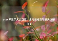 PUBG不显示人名别慌！全方位排查与解决攻略来了
