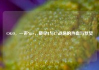 CSGO，一声Nice，藏尽T与CT战场的热血与默契