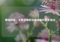 赛场转身，王者荣耀职业赛场离队选手盘点
