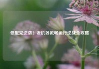 低配党逆袭！老机器流畅运行逆战全攻略