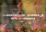 CSGO津贴购买避坑全攻略，从充值到使用，买对不亏、每分钱都物超所值