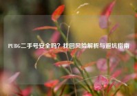 PUBG二手号安全吗？找回风险解析与避坑指南