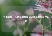 王者荣耀，从队友数量窥见团队博弈与游戏乐趣