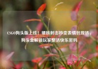 CSGO狗头版上线！硬核射击秒变表情包现场，狗头金解锁玩家整活快乐密码