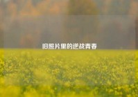 旧照片里的逆战青春