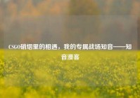 CSGO硝烟里的相遇，我的专属战场知音——知音漫客