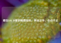 藏在LOL ID里的爱情密码，峡谷之外，心动不止