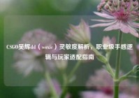 CSGO吴辉dd（woxic）灵敏度解析，职业级手感逻辑与玩家适配指南