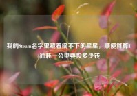 我的Steam名字里藏着摘不下的星星，顺便算算14油耗一公里要投多少钱