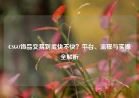 CSGO饰品交易到底快不快？平台、流程与实操全解析