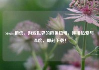 Steam橙信，游戏世界的橙色纽带，连接热爱与温度，即刻下载！