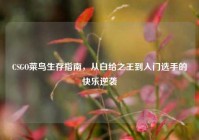 CSGO菜鸟生存指南，从白给之王到入门选手的快乐逆袭