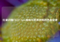 红星闪耀CSGO！Shiro奏响与枪声共鸣的热血旋律