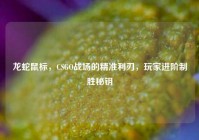 龙蛇鼠标，CSGO战场的精准利刃，玩家进阶制胜秘钥