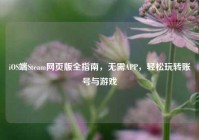 iOS端Steam网页版全指南，无需APP，轻松玩转账号与游戏